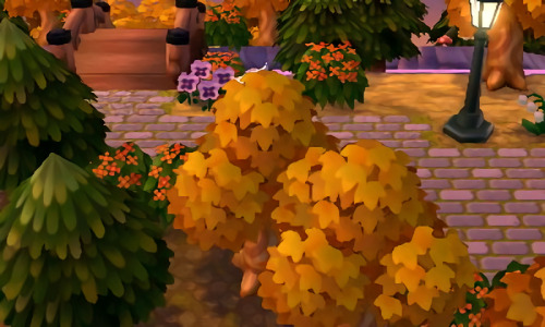 mayor-kyoto:  aerythenarwhal:  mayor-kyoto:  (◕‿◕✿)    Why do those trees look like tater tots  these are not the taters you are looking for 