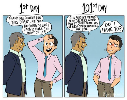 pr1nceshawn:  How Your Job Changes Over Time.