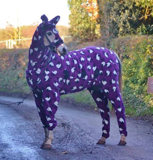 cimness:  end0skeletal:  Here are some horses (and a pony) wearing pajamas to brighten