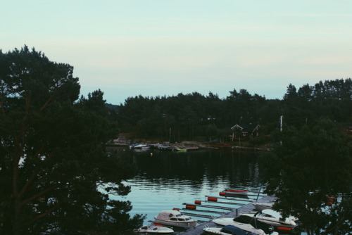 bonheure: linnipoo: bonheure: Norway | X bonheure 