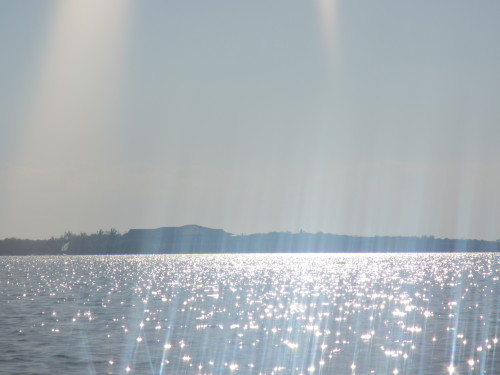 culpableoinocente:ffog:The way the sun is sparkling on the water is just magical idek“The ocean look