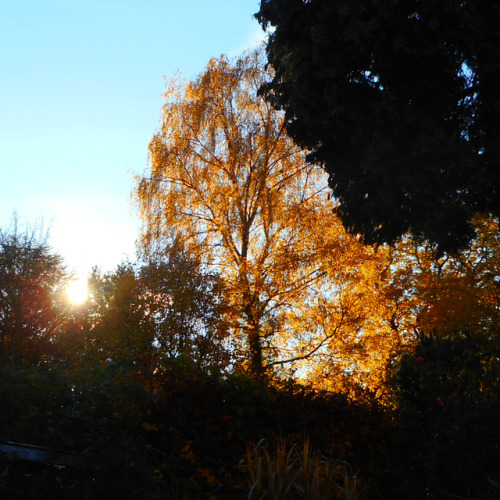 andreas-nolte:Aachen, Nov 2018NoltAfoto  Bildarchiv