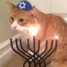 tami-taylors-hair:yehudah:compilationHappy Hanukkah to all my Jewish human friends