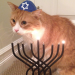 tami-taylors-hair:yehudah:compilationHappy Hanukkah to all my Jewish human friends and Happy Hannukkat to their cats!