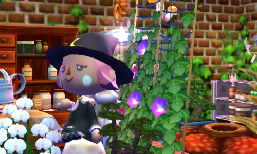 sleepyaomori:A little witch raising plants~