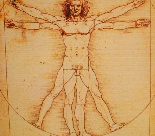 Porn photo sixpenceee:  Ironically Leonardo Da Vinci’s
