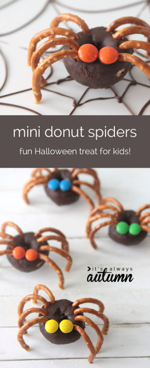 DIY Donut Spiders from It&rsquo;s Always Autumn. So easy - donuts with pretzel legs and candy eyes. 