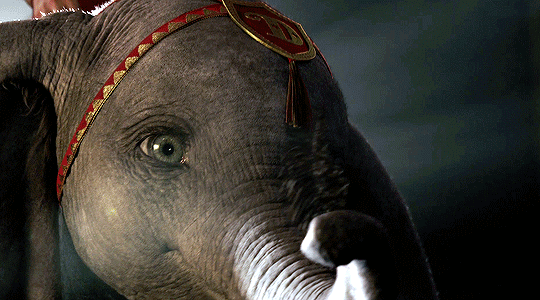reese-witherspoon: Dumbo (2019) dir. Tim Burton