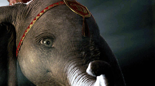 madeline-kahn:Dumbo (2019) dir. Tim Burton2/20/21Movie date with my Daddybear @kitten-sdaddybear