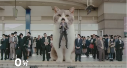 archiemcphee:  Leave it to Japan to demonstrate an exceptionally awesome way to liven up our morning commute. This 15-second commerical for Fit’s LINK chewing gum depicts a businessman being aided in his morning commute by a giant cat. It’s the urban