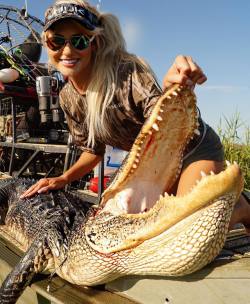 brookemariethomas:⛓ Pulled this dinosaur out of the St.Johns River filming today with @osceolaoutbackadventures // @nomadoutdoor // @hukgear !! 😱🐊⚠️ #gatorhunt #gator #alliator @kyboe @oldmilwaukee @costasunglasses #hukfishing #gatorhunting