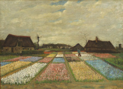 tndra: Vincent Van Gogh Flower Beds in Holland