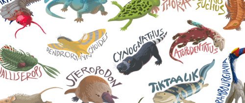 franxurio: Cause Prehistory isn’t just about dinosaurs, I made a poster with every ‘Din