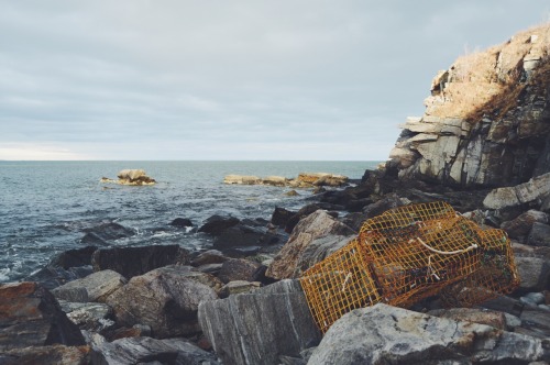 suomiikiid:  Cape Elizabeth, Maine.