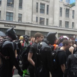 rubberpaste:  Puppies were apparently the craziest thing there @ London Pride 2014 (Found on Instagram) #100daysofhappiness Day 38!!! Hit up #London #pride parade and party in #Trafalgar with some fellow Torontonians! This was the craziest it got…Rubber