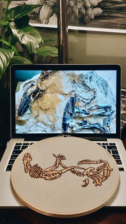 twofacedgods: May, 2021An embroidery project on the famed ‘Dueling Dinosaurs’ of Hell Creek, Montana