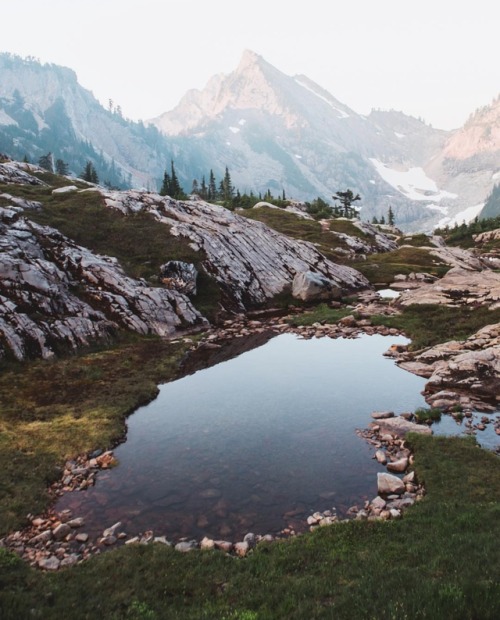 nature-porn:  @masonprendergast (ig)