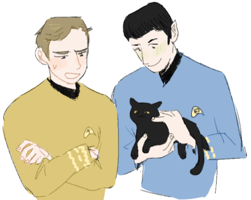 horsedrawnstudent:rewatching star trek this week.