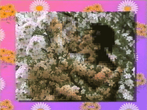 mollysoda:some .gifs from my latest new hive series titled “isn’t this beautiful? aren’t you glad yo