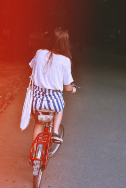 flores-de-maio:  . 