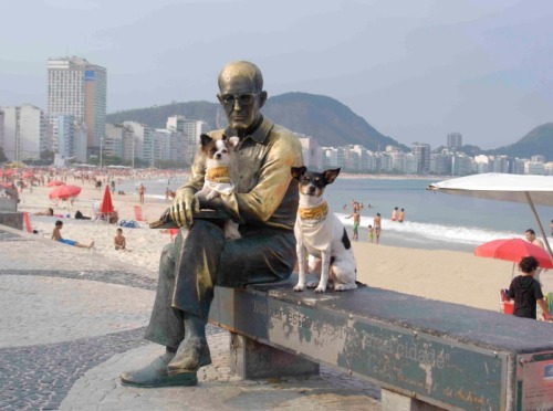 The statue of the great Brazilian poet Carlos Drummond de Andrade, posing with two dogs. Rio Janeiro