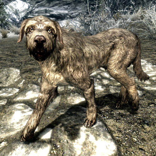 partyatsanguines: theknightlyrealist: uesp: Did You Know: Barbas, Clavicus Vile’s Hound, can s