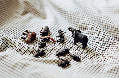 coffee-is-better-than-a-hug:  Untitled | Flickr - Photo Sharing! on We Heart It.