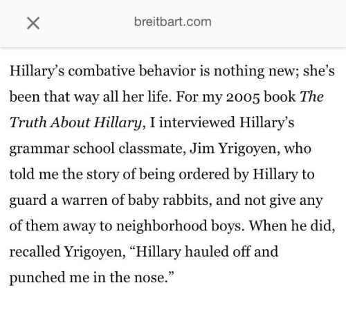 brainstatic:Breitbart thinks this will make people like Hillary less. [An excerpt from breitbart