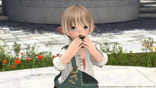 clovermemories: FFXIV - Patch 5.2 site updated!New hairstyles, emotes, minions, equipment, mounts…