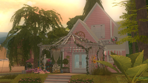 Blush In Blooming Plant Shop.