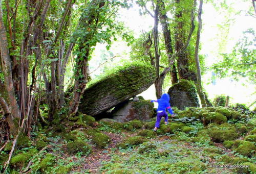 I made an impromptu visit to the small Neolithic portal tomb at Meehambee, Co. Roscommon earlier today. Located in a sma