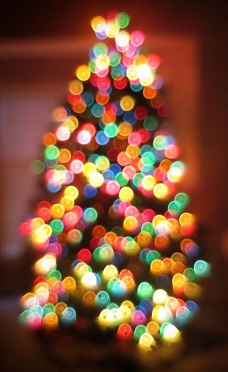 carrie-outdoors: May your days be merry and bright.