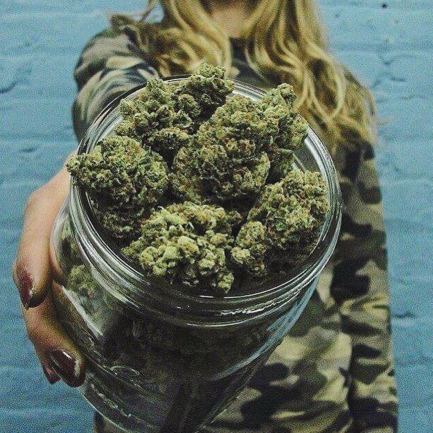 thesacredleaf:Nugs for days!Sign up for 20% off a future order!