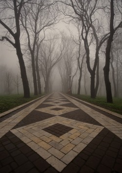 vurtual:  Foggy evening (by Dimitri Bogachuk) 