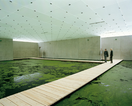 hmshchpmn:Olafur Eliasson. ”The mediated motion”