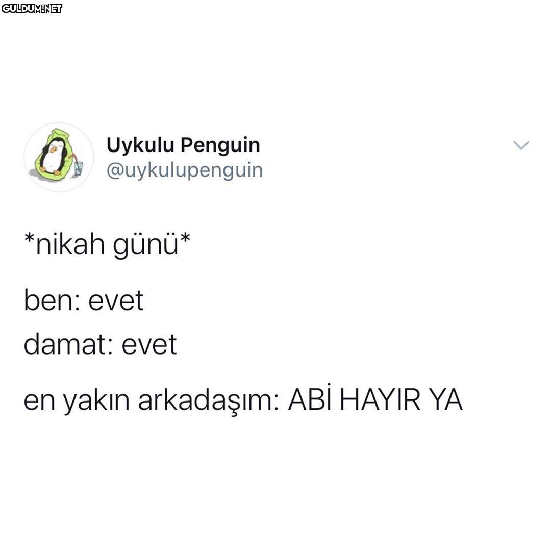 Uykulu Penguin...