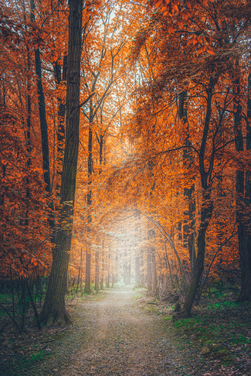 wnderlst:  New Jersey | Dylan Colon