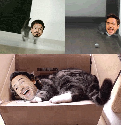 The 25th GIF is your secret identity.