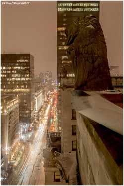 citylandscapes:  In place since 1939, this is one of many gargoyles that are perched atop a downtown Vancouver hotel. Source: Freaktography (flickr) 