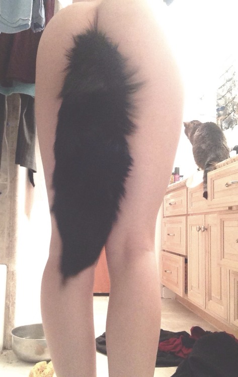 akittentohermaster:  I now own a tail <3