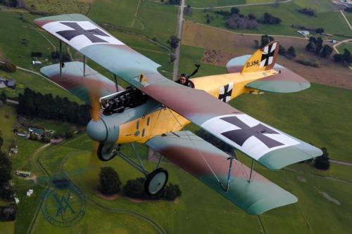 Albatros D.II replica
