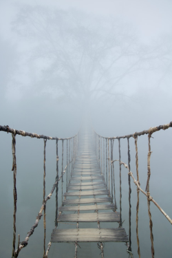 expressions-of-nature:  Rope Bridge, Vietnam by Dima Zverev