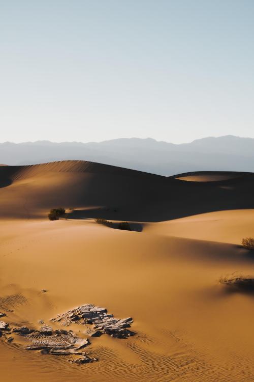 oneshotolive:  Dunes, in Death Valley National Park [OC] [4000x6000] 📷: yragoam 