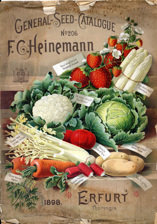 F.C. Heinemann, General Seed Catalogue no.206 (1898). Source: Smithsonian Libraries