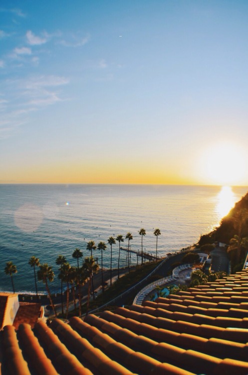 XXX sassafranski:  Catalina Sunrise  photo