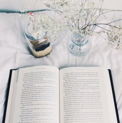 booksntravels:  how I’ve been spending most of my summer: surrounded by books, coffee, and the wonderful scent of flowers. 