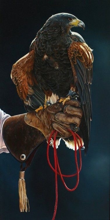 peeblespair:  free-spirit-the-soul-of-a-gypsy:  ☑