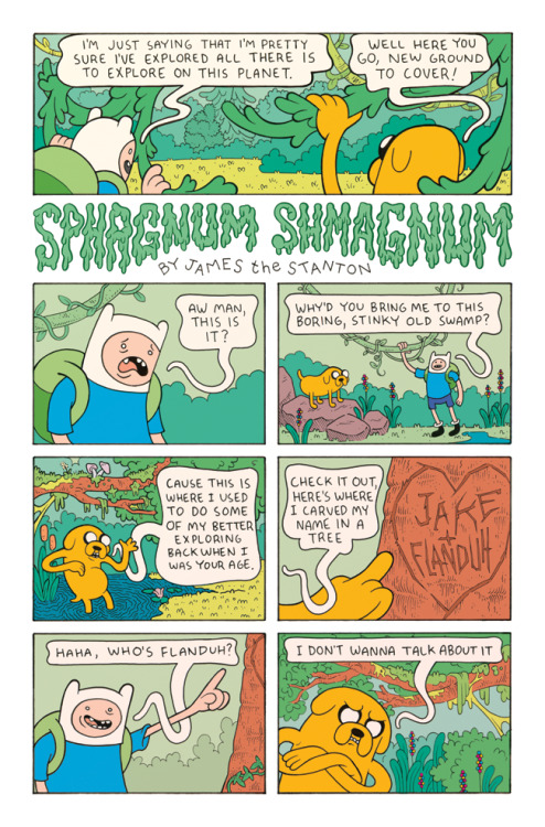gnartoons:  Here’s the comic that I wrote / illustrated for Adventure Time #26 (which also appeared 