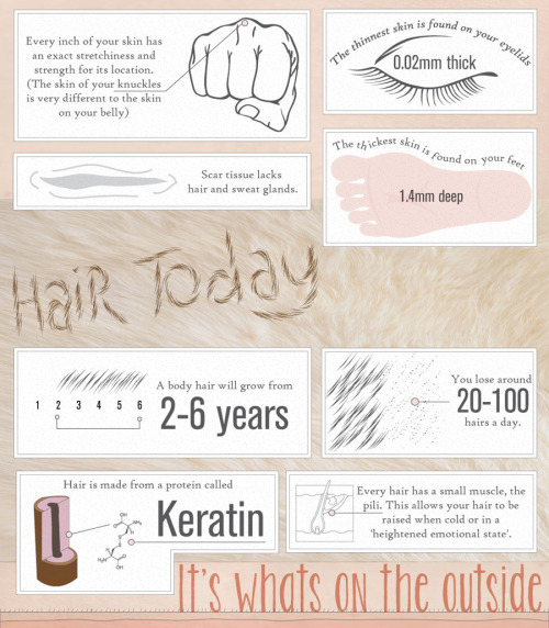 science-junkie:50 Incredible Facts About SkinDid you know that your skin is considered an organ