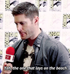 Different interviews, different questions, same answers. [x] [x]The guys just want their beach episode…